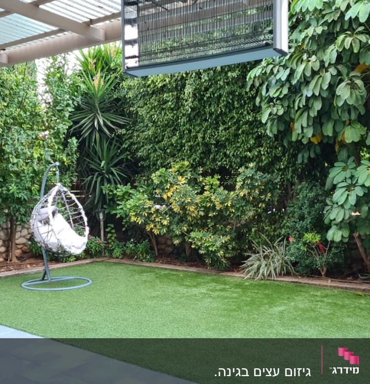 גינה עם עצים ושיחים, ללא כלי גיזום נראים לעין.